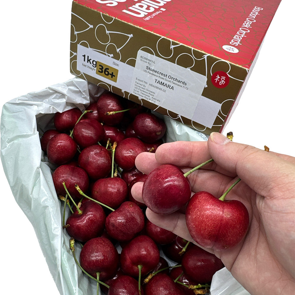 Bourbon-Creek-Tasmanian-Cherries-Gift-Box---1kg-1