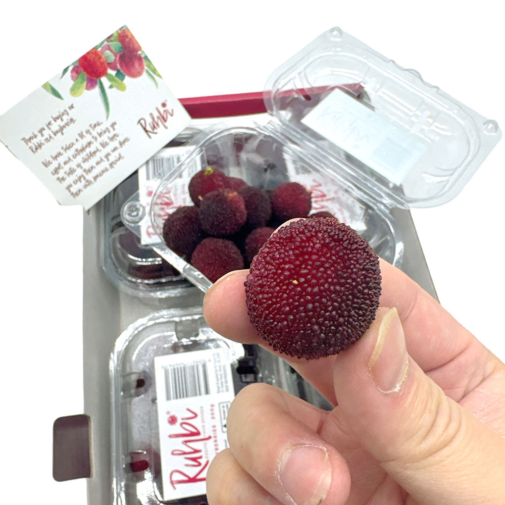 Ruhbi-Fresh-Red-Bayberries---Box-of-4-Packs-1