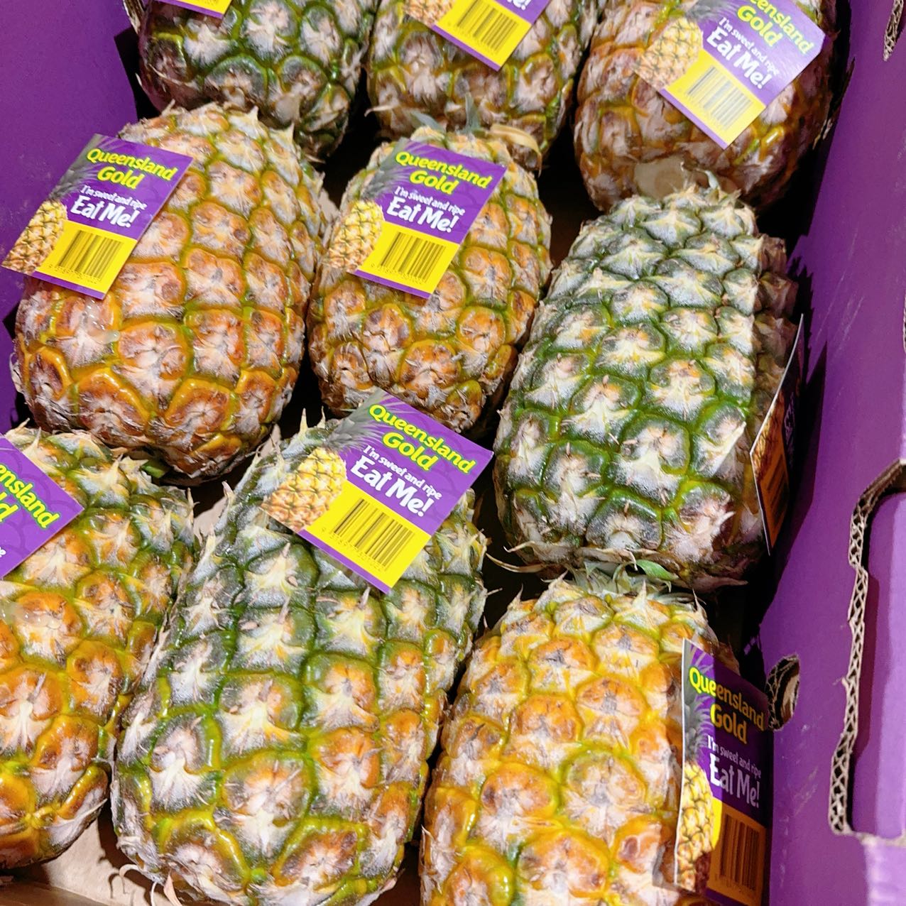 pineapple-sweetest-queensland-purple-label-each-1