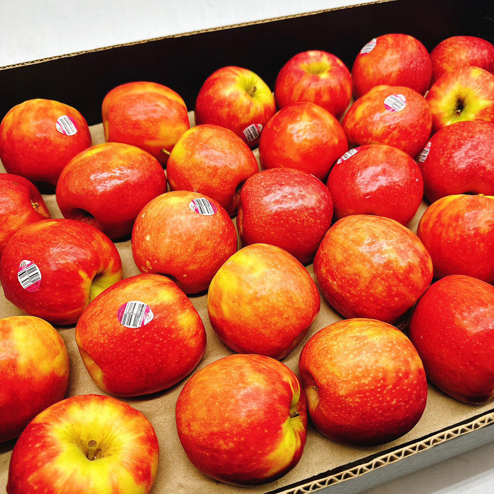 Pink-Lady-Apples---Box-of-12kg-1