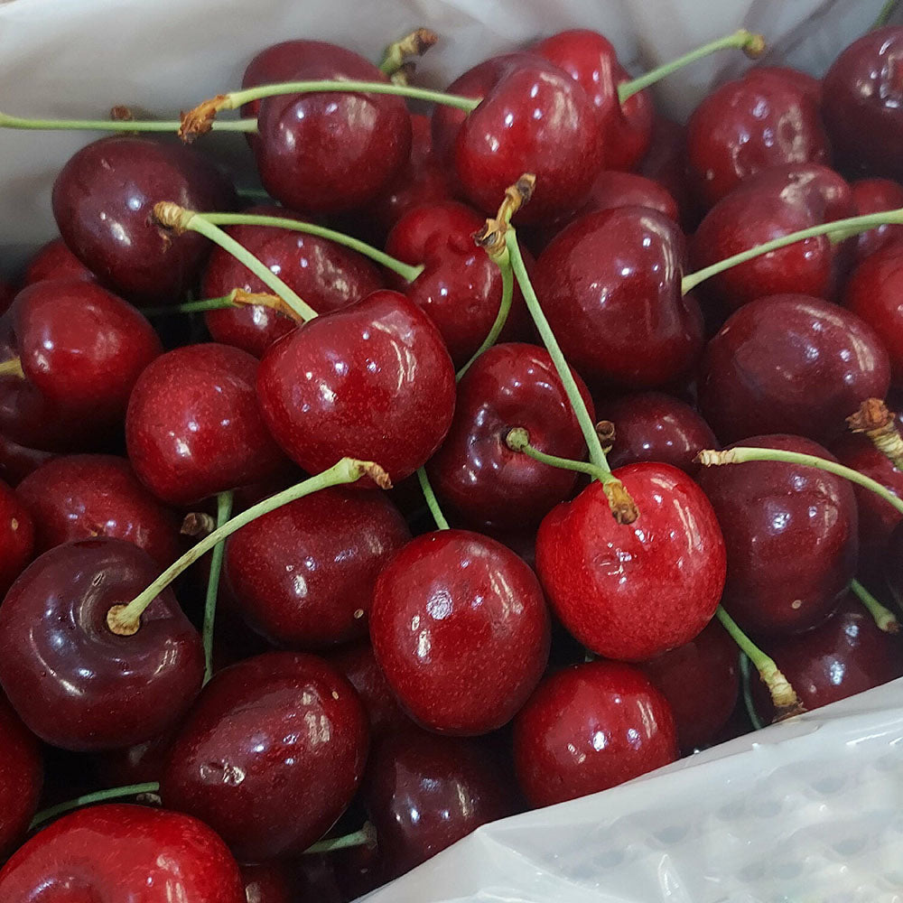 cherry-red-8-5r-500g-1