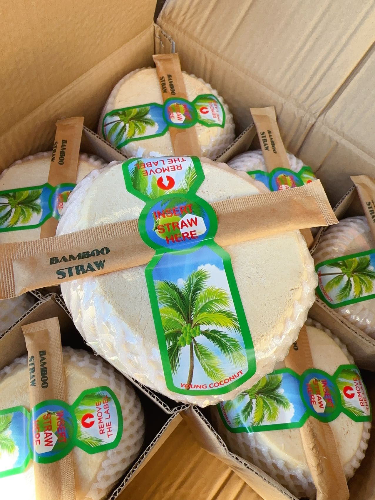 young-coconut-1-piece-1