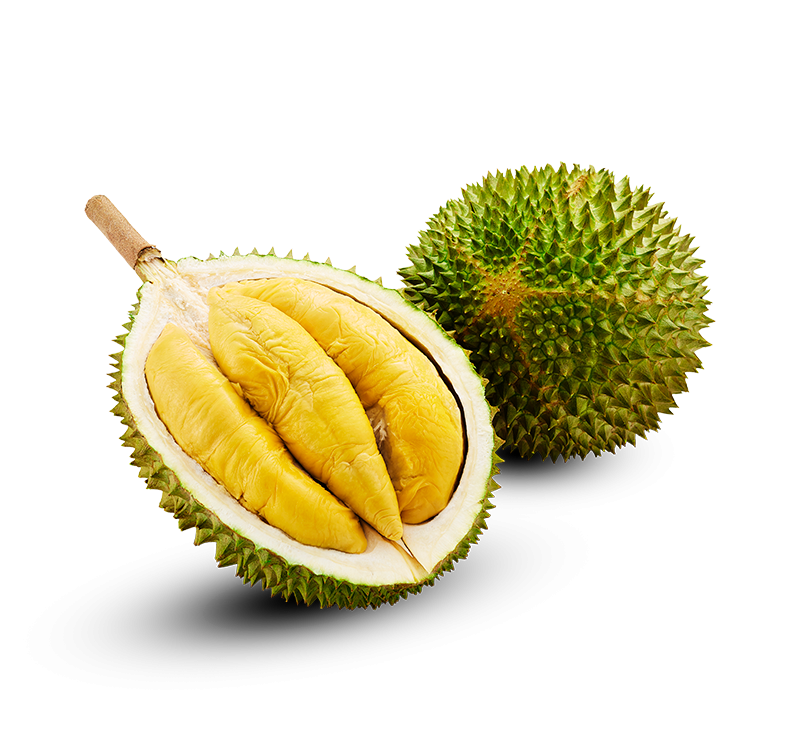 Frozen-Netted-D197-Musang-King-Durian---2.2-2.4kg-1