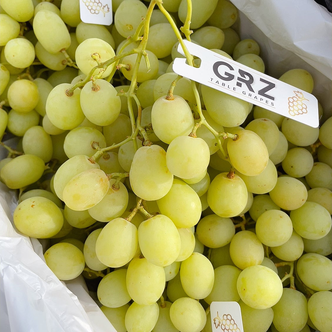 Sweet-Globe-Premium-Sweet-Crisp-Green-Grapes---1kg-1