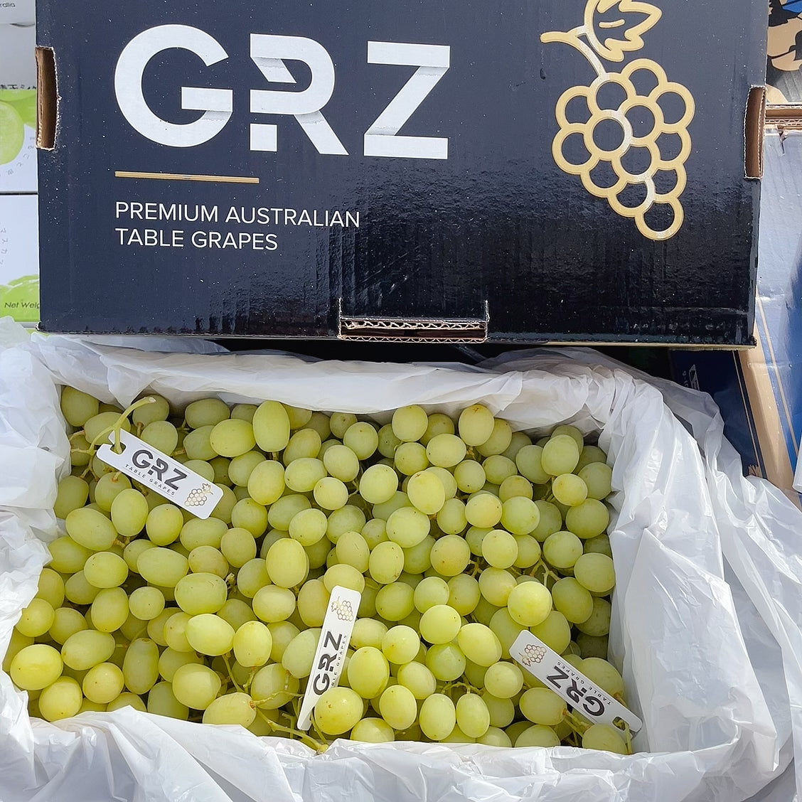 GRZ-Premium-Sweet-Globe-Green-Grapes---4.5kg-Box-1