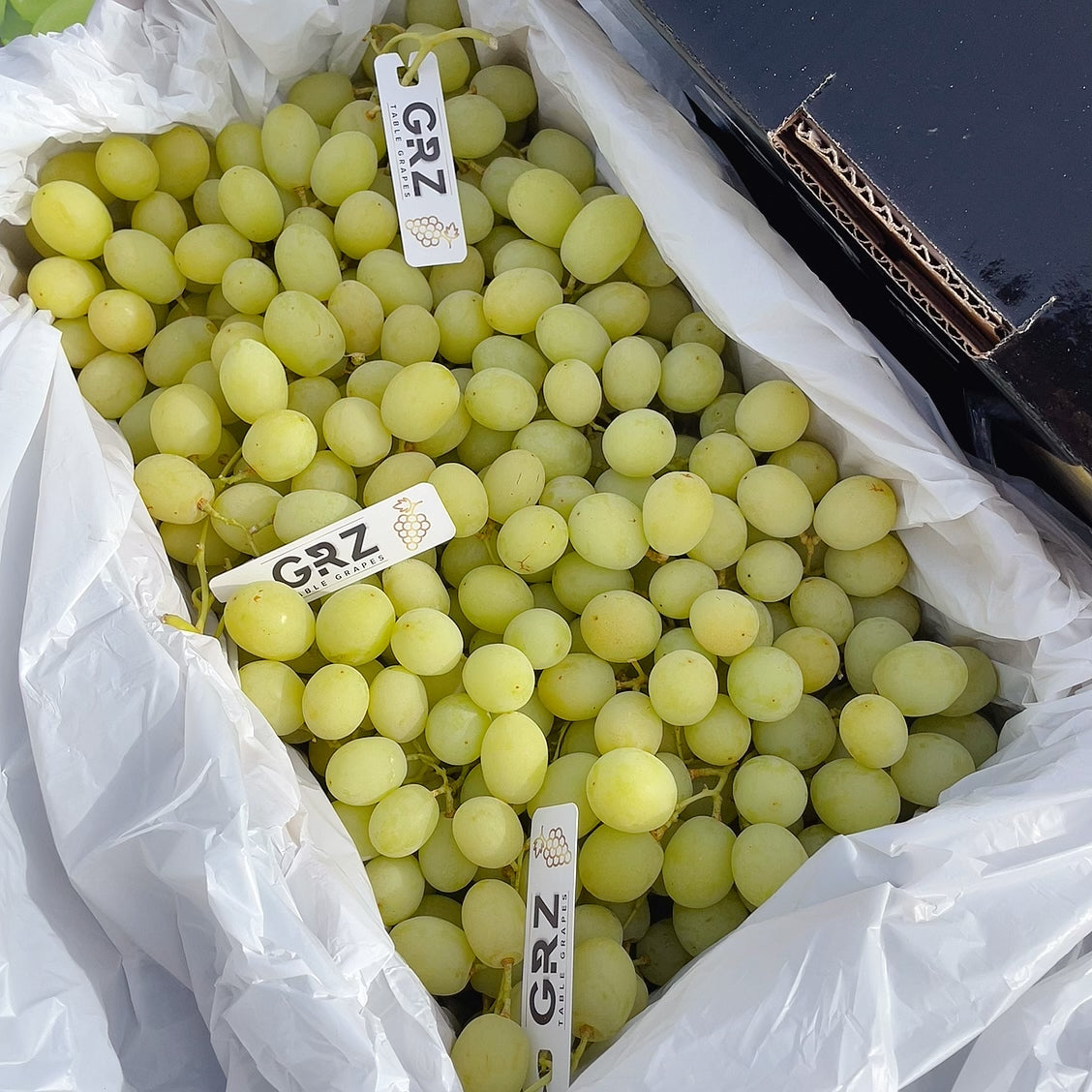 GRZ-Premium-Sweet-Globe-Green-Grapes---4.5kg-Box-1