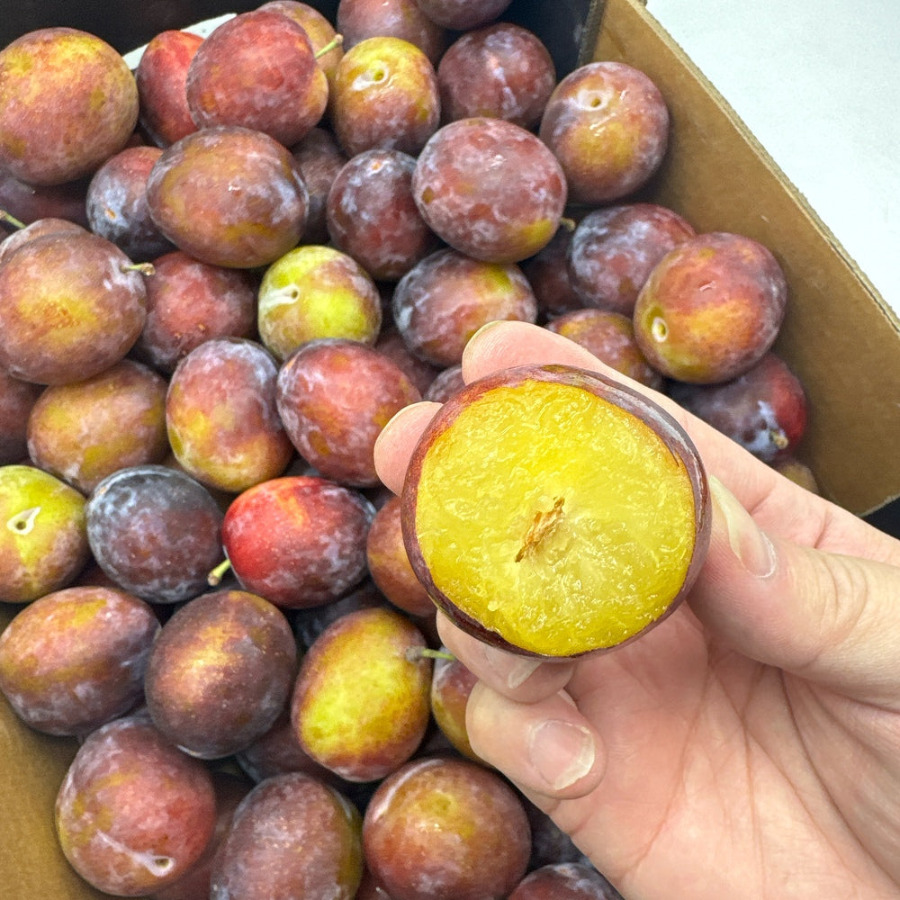 Tasty-Fresh-Plums---500g