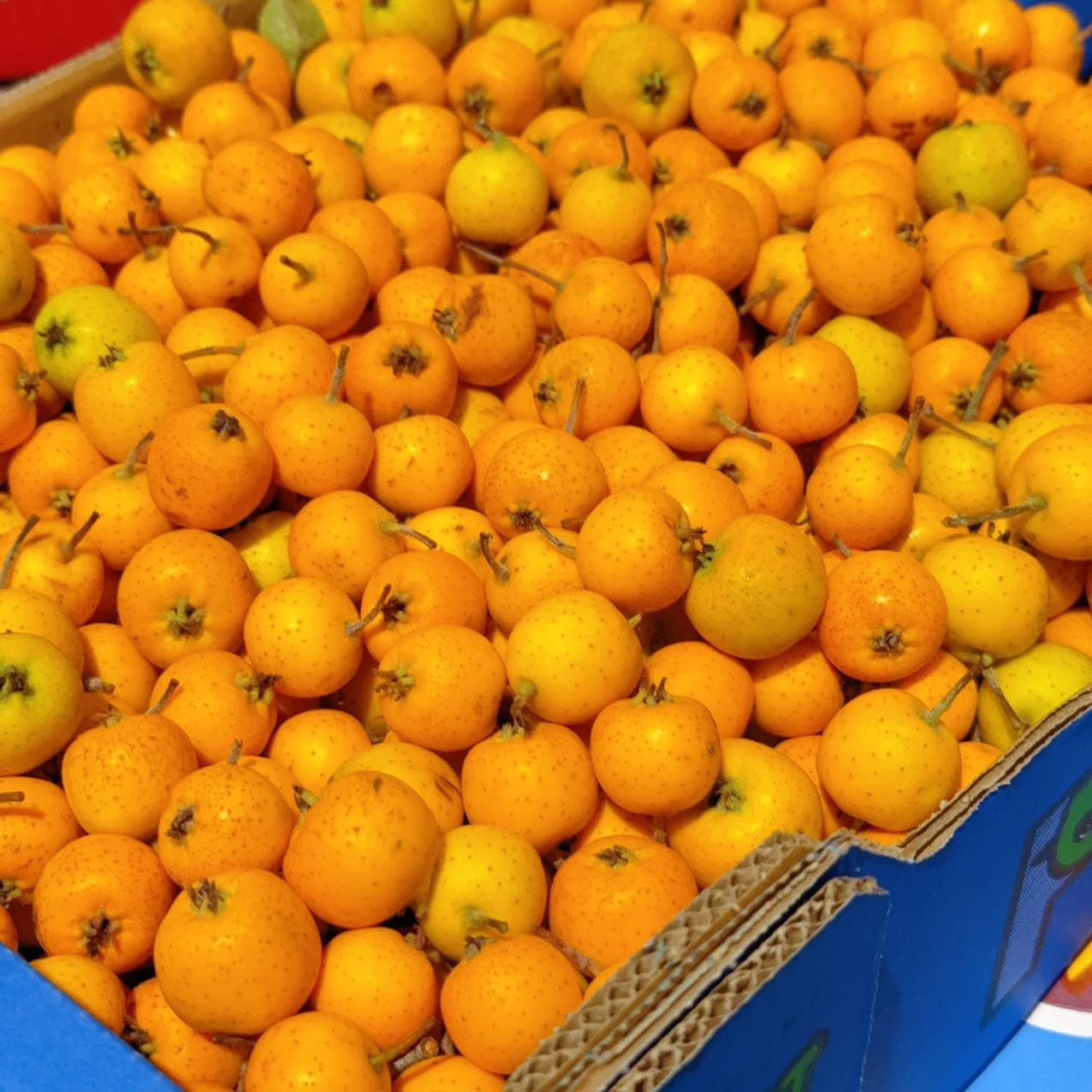 Rare-Yellow-Crabapples---300g-1