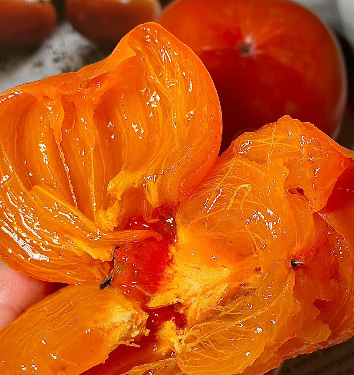 Soft-Persimmons---2-Pieces-1