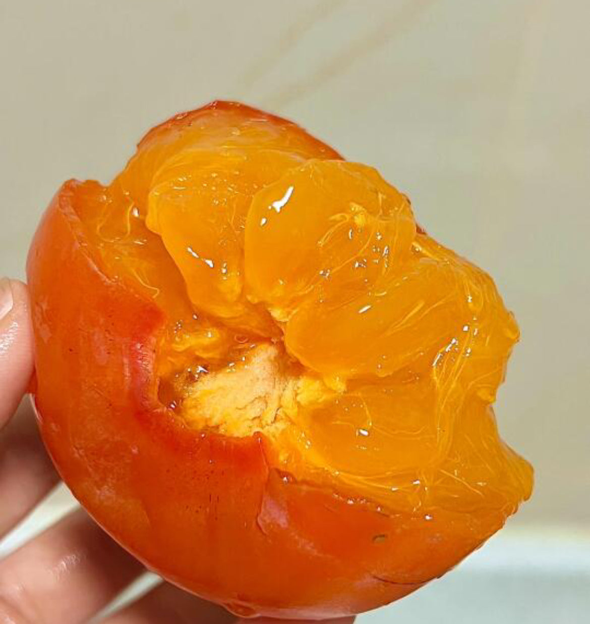 Soft-Persimmons---2-Pieces-1