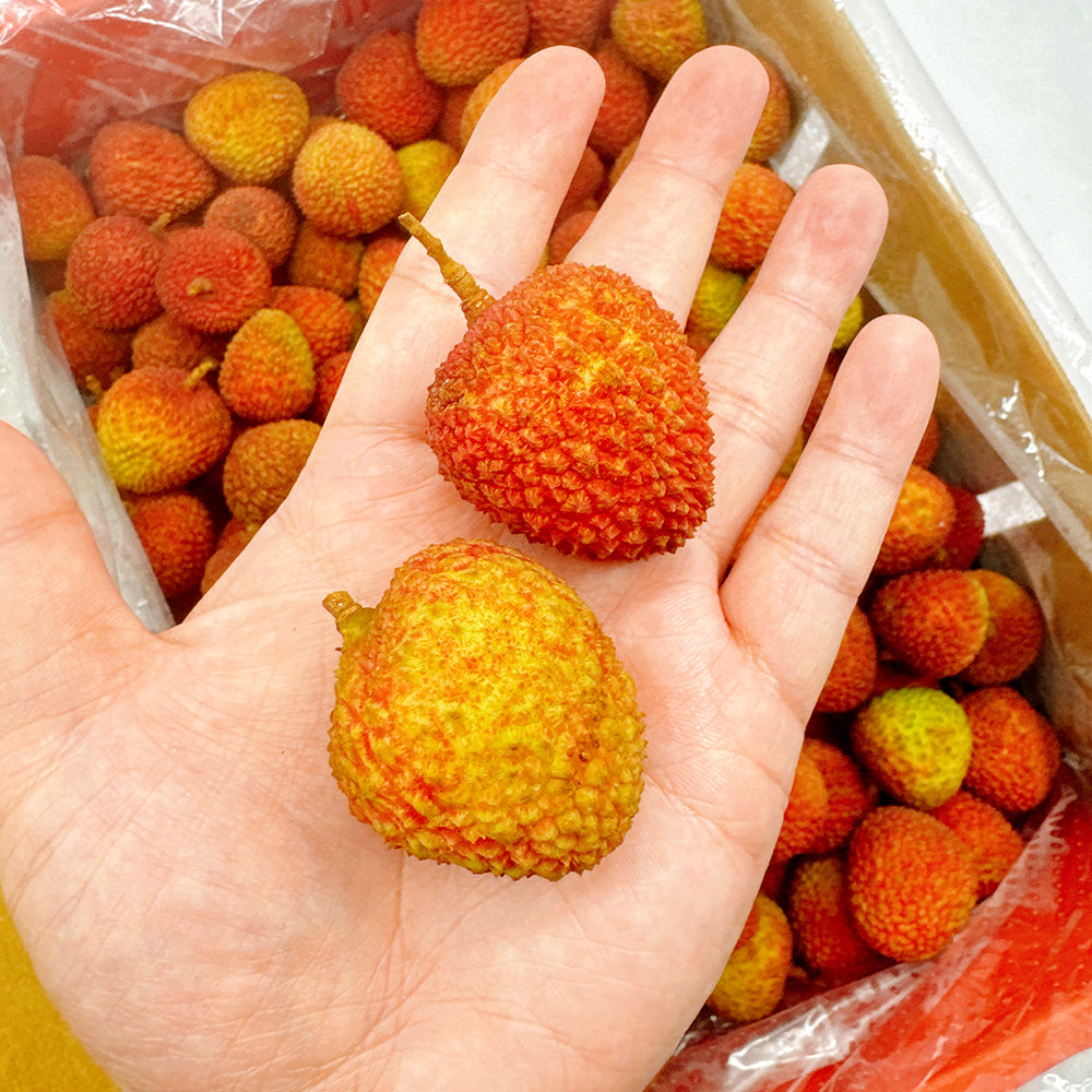 Feizixiao-Lychee---500g-1