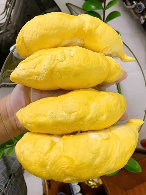 Frozen-Ri6-Vietnamese-Seedless-Durian-Pulp---700g-1