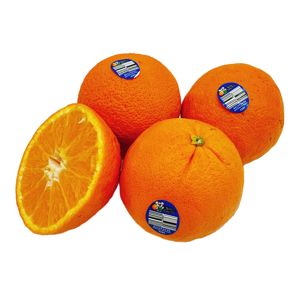 koala-easy-peel-oranges-1kg-1