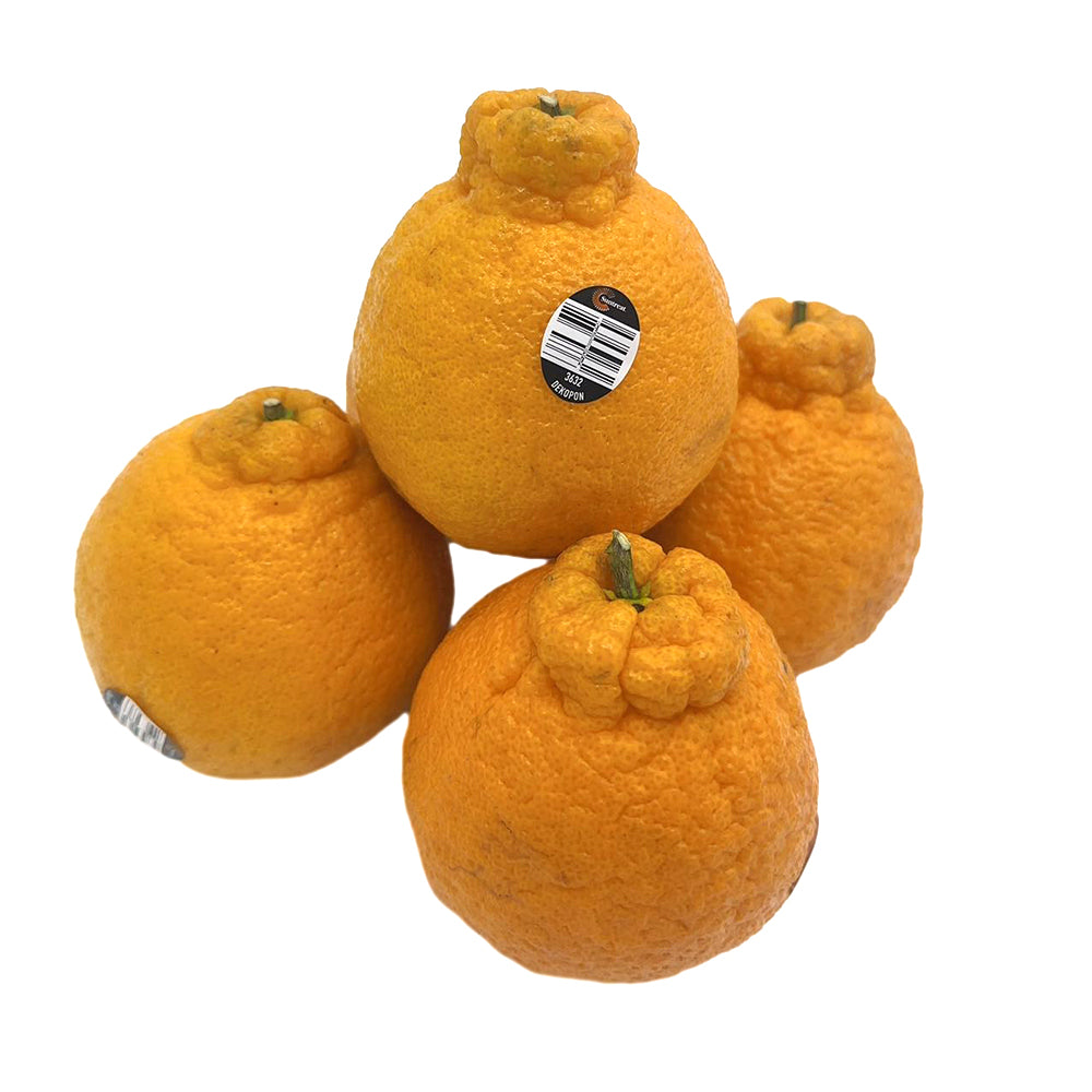 shiranui-oranges-1kg-1