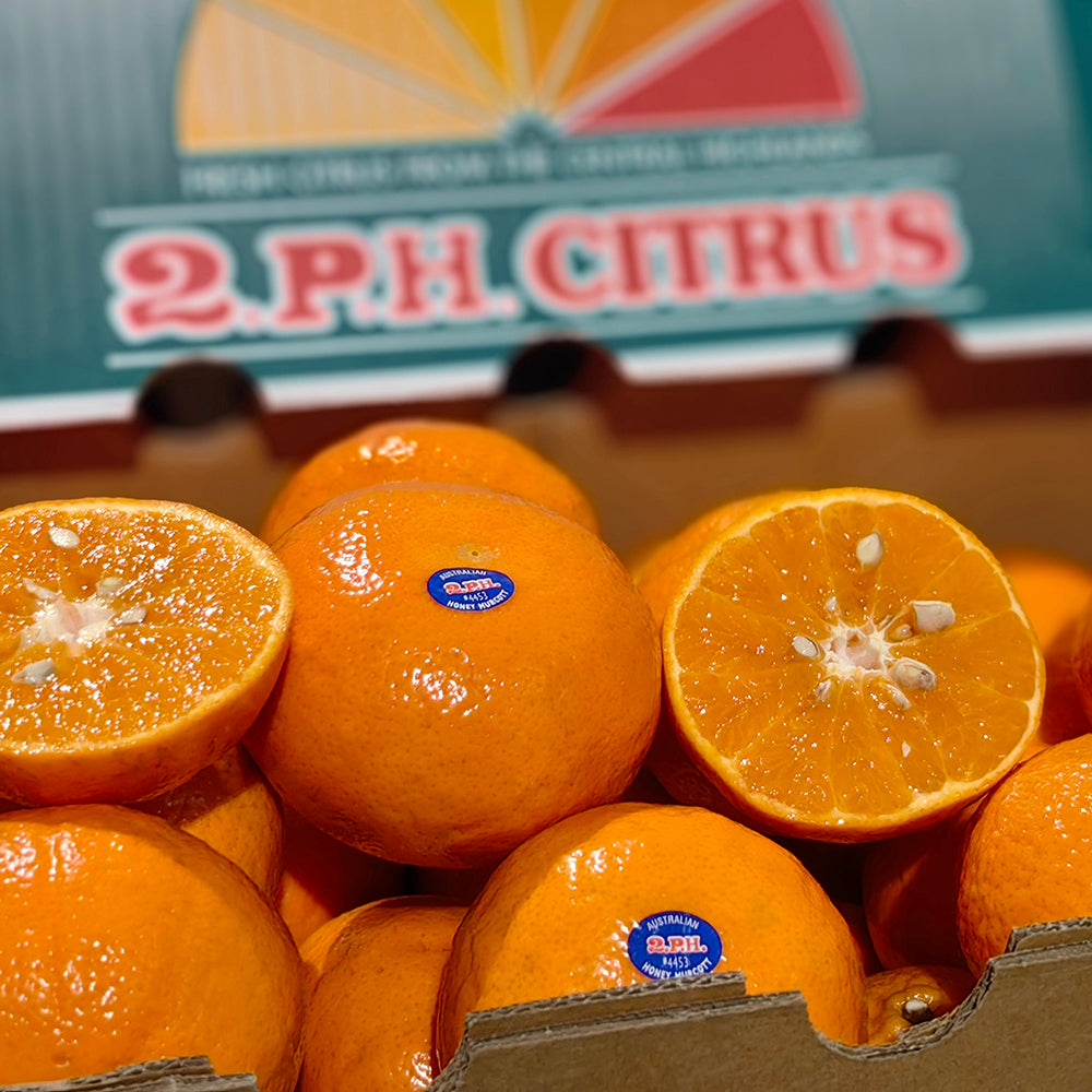 2PH-Large-Murcott-Mandarins---900g-1