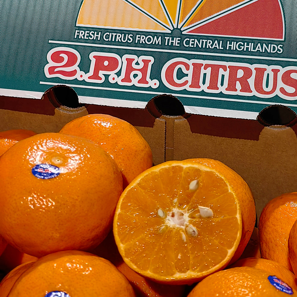 2PH-Large-Murcott-Mandarins---900g-1