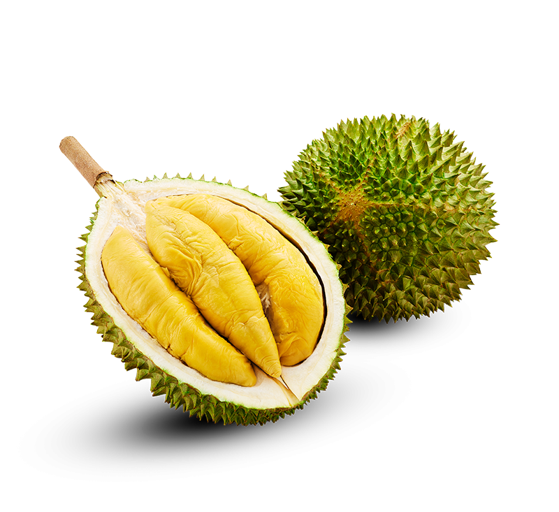 Whole-D197-Musang-King-Durian-in-Net-1-1.2kg-1