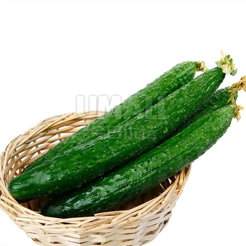 [Fresh]-Spiky-Cucumbers-Approximately-1kg-1