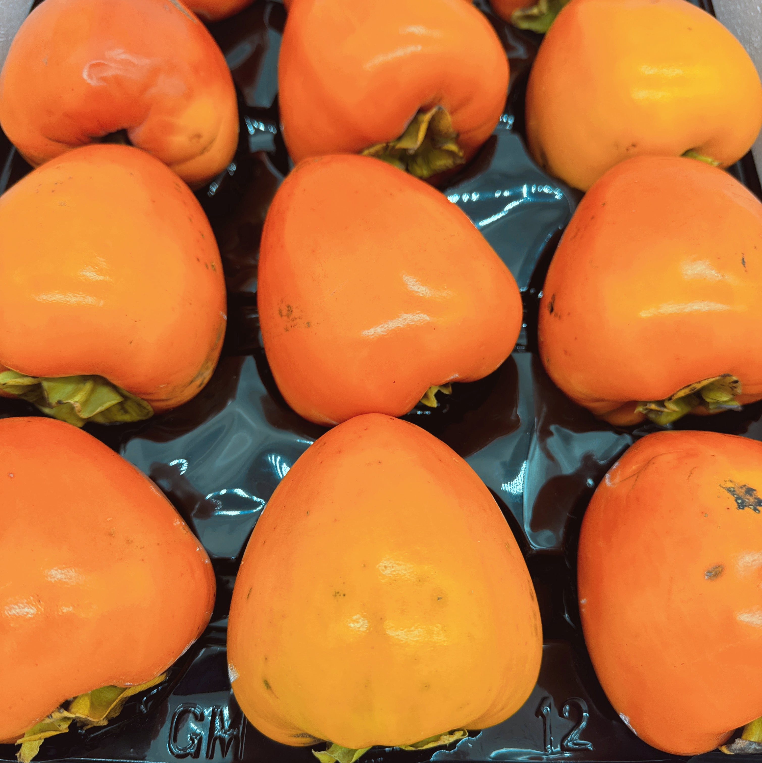 Large-Soft-Bull-Heart-Persimmon---Single-Piece-1