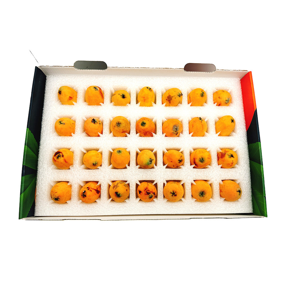 Tehillah-Orchard-Premium-Loquat-Gift-Box---Large,-1kg-1