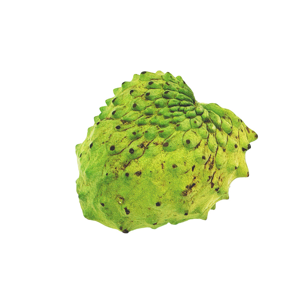 sugar-apple-1-piece-1