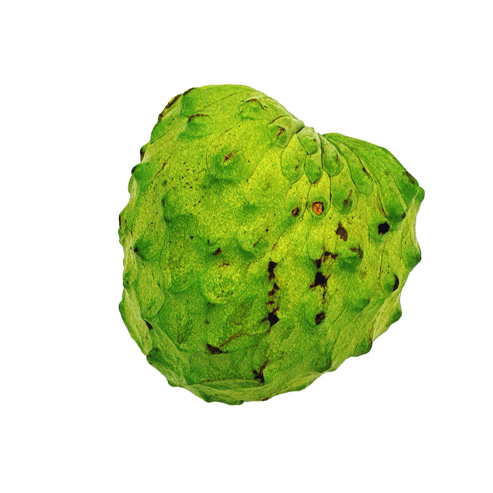 fresh-custard-apple-1-piece-1