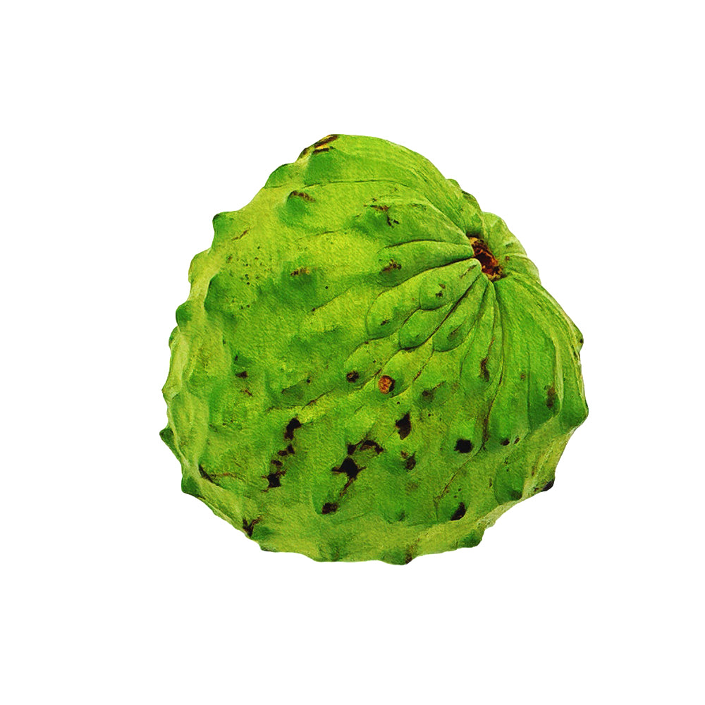 fresh-custard-apple-1-piece-1