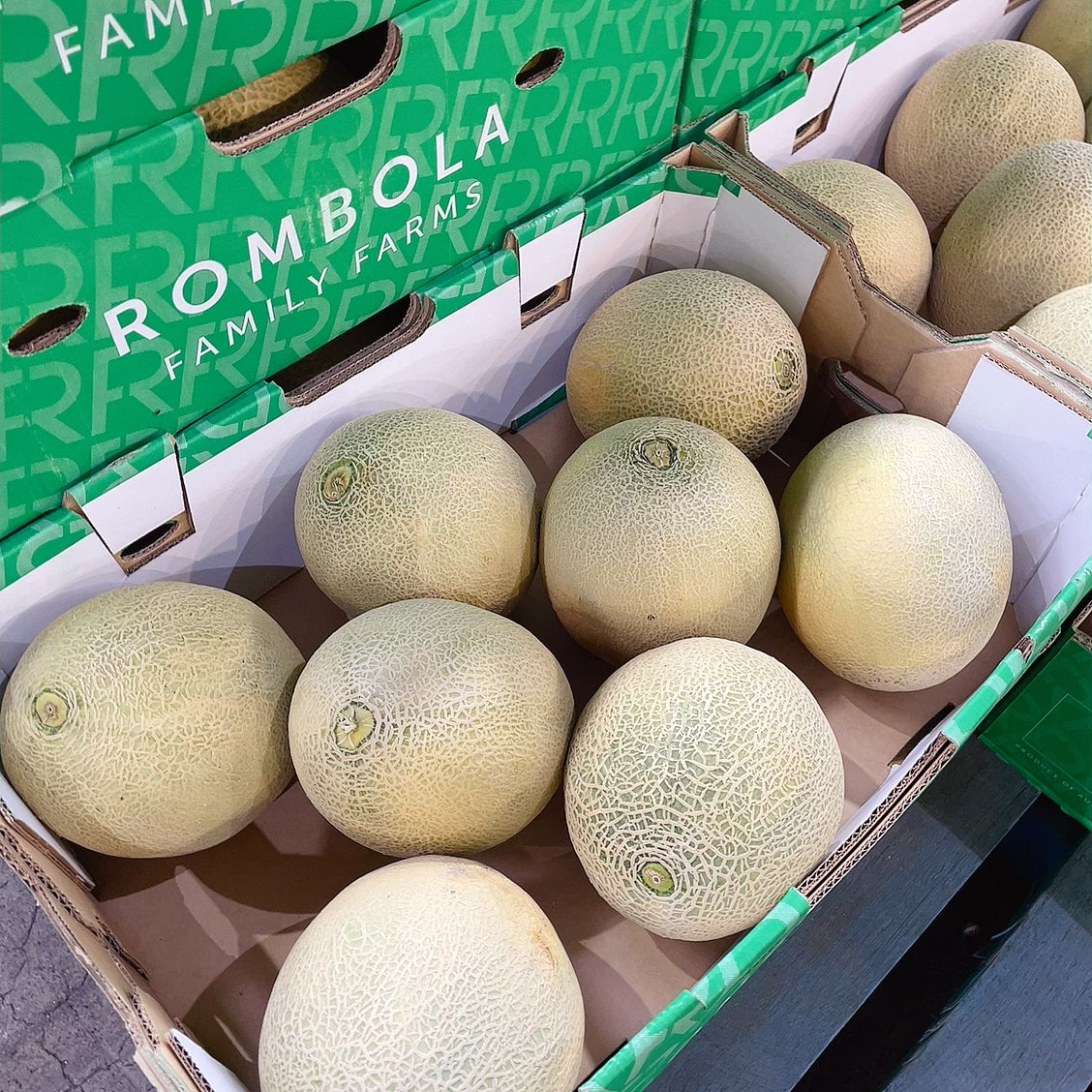 fresh-rockmelon-multiple-sizes-available-1