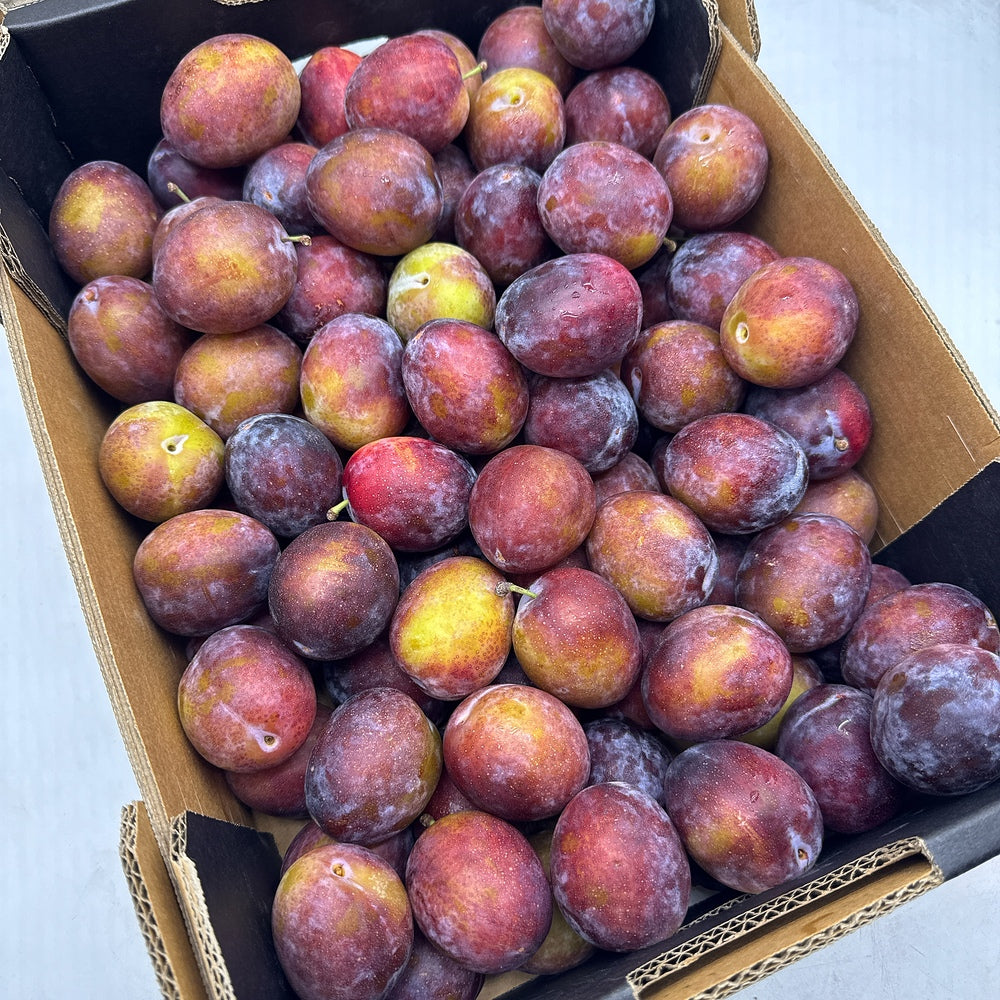 Tasty-Fresh-Plums---500g