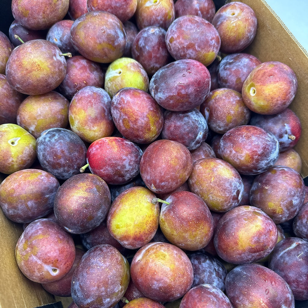 Tasty-Fresh-Plums---500g