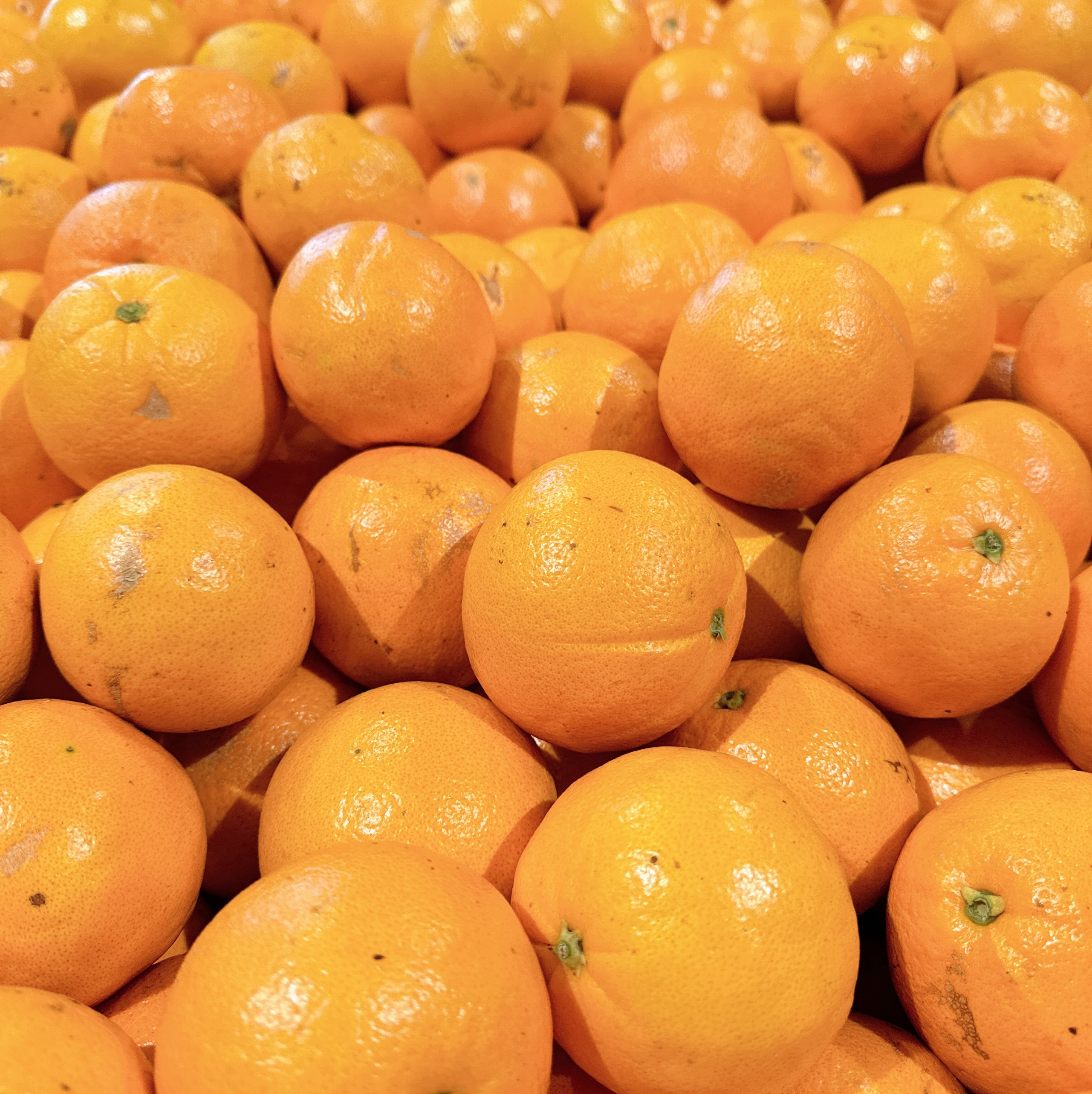 Fresh-Easy-Peel-Oranges---1kg-1