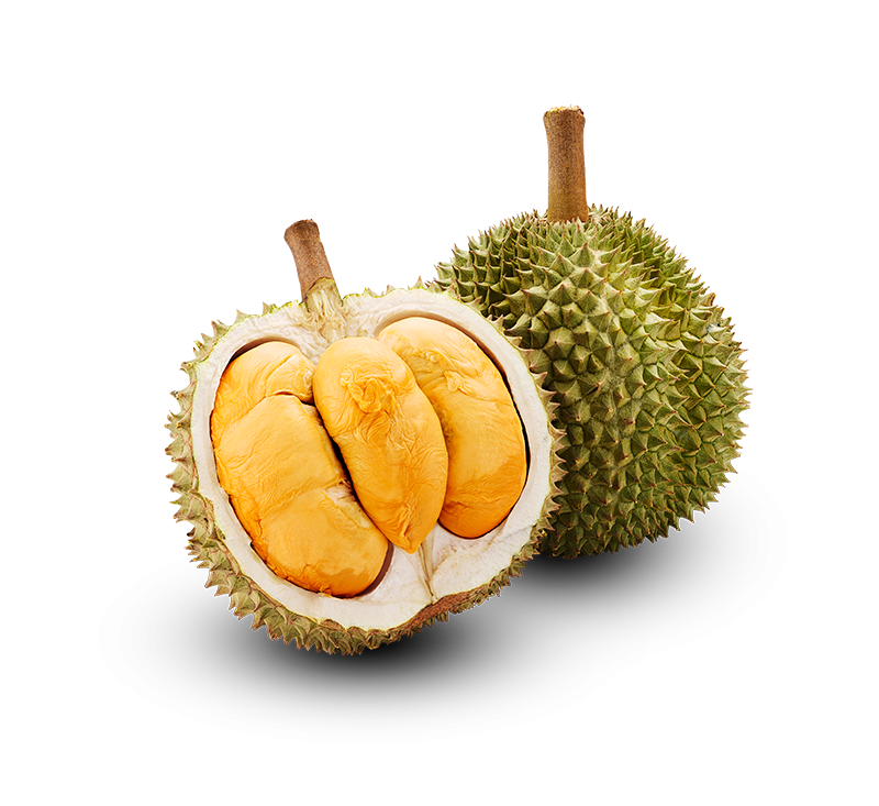 Frozen-Black-Thorn-D200-Durian---1.4-1.6kg-1