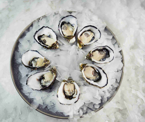 Oysters Pacific Large Dozen