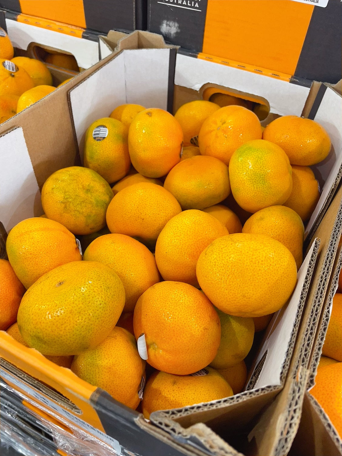 ¡¾Fresh¡¿Umall-Own-Brand-Seedless-Oranges---Approximately-900-1000g-1