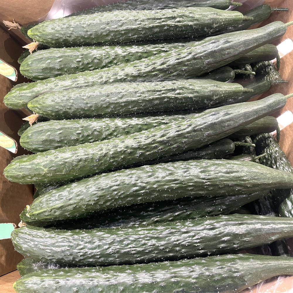 [Fresh]-Spiky-Cucumbers-Approximately-1kg-1