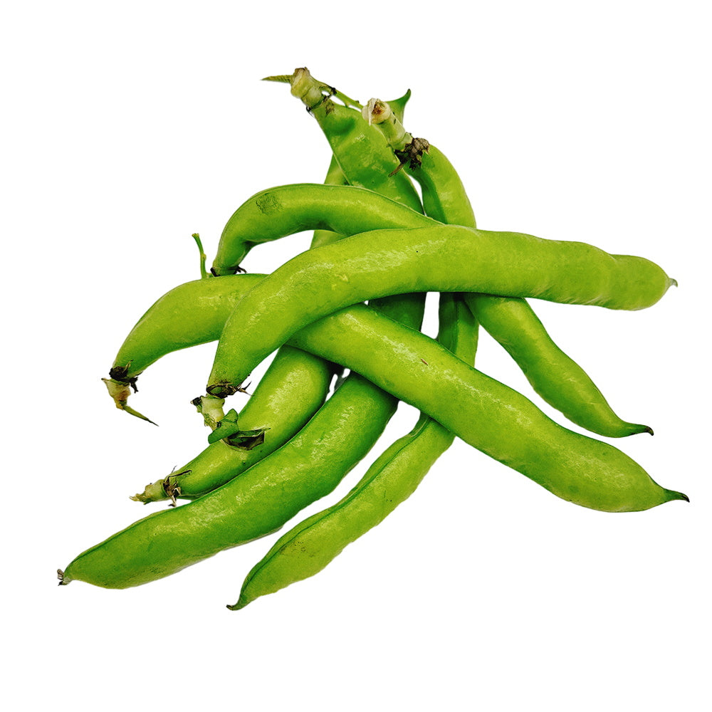 Broad-Beans---500g-1