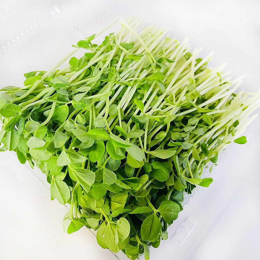 fresh-snow-pea-sprouts-160g-1