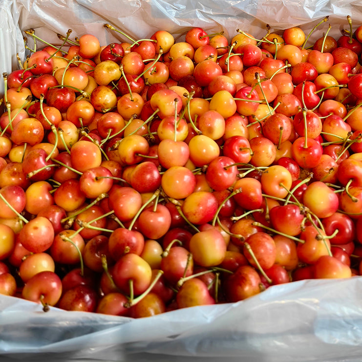 Skylar-Rae-Yellow-Cherries---500g-1