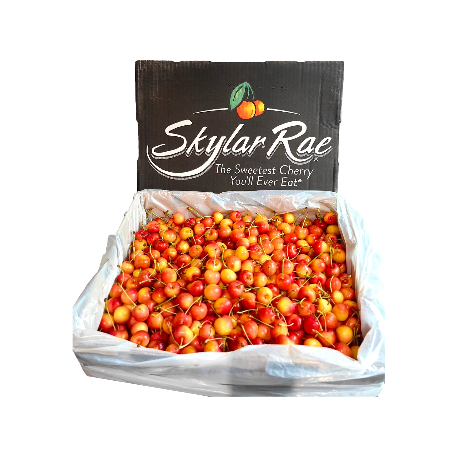 Skylar-Rae-Yellow-Cherries---500g-1