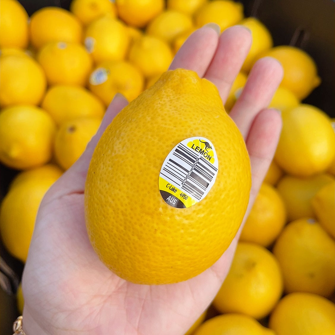 fresh-lemons-approximately-500g-1