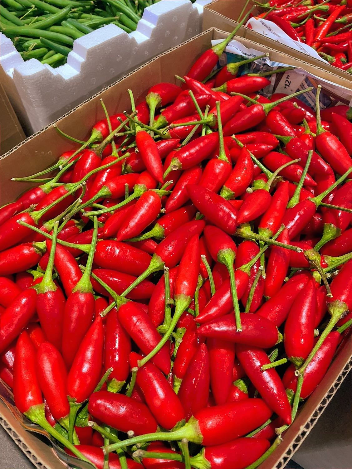 [Fresh]-Bullet-Chillies/Millet-Peppers-Approximately-200g-1