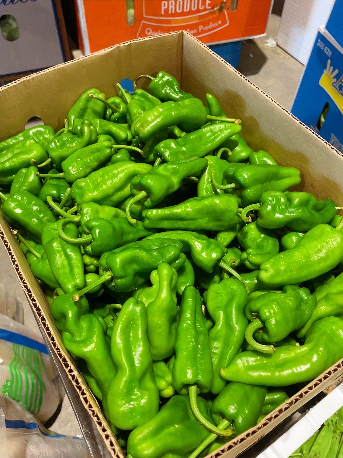 fresh-tiger-skin-green-peppers-approximately-500g-1