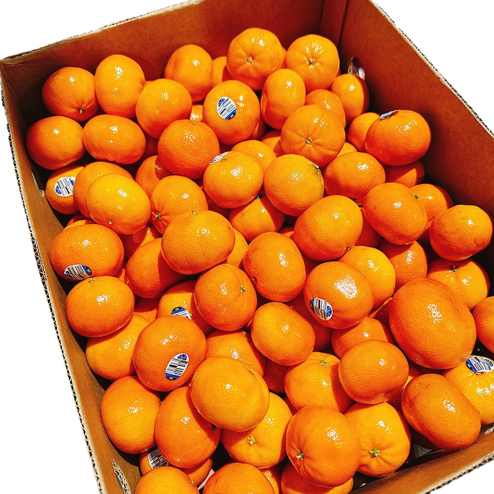 Afourer-Mandarins---1kg-1