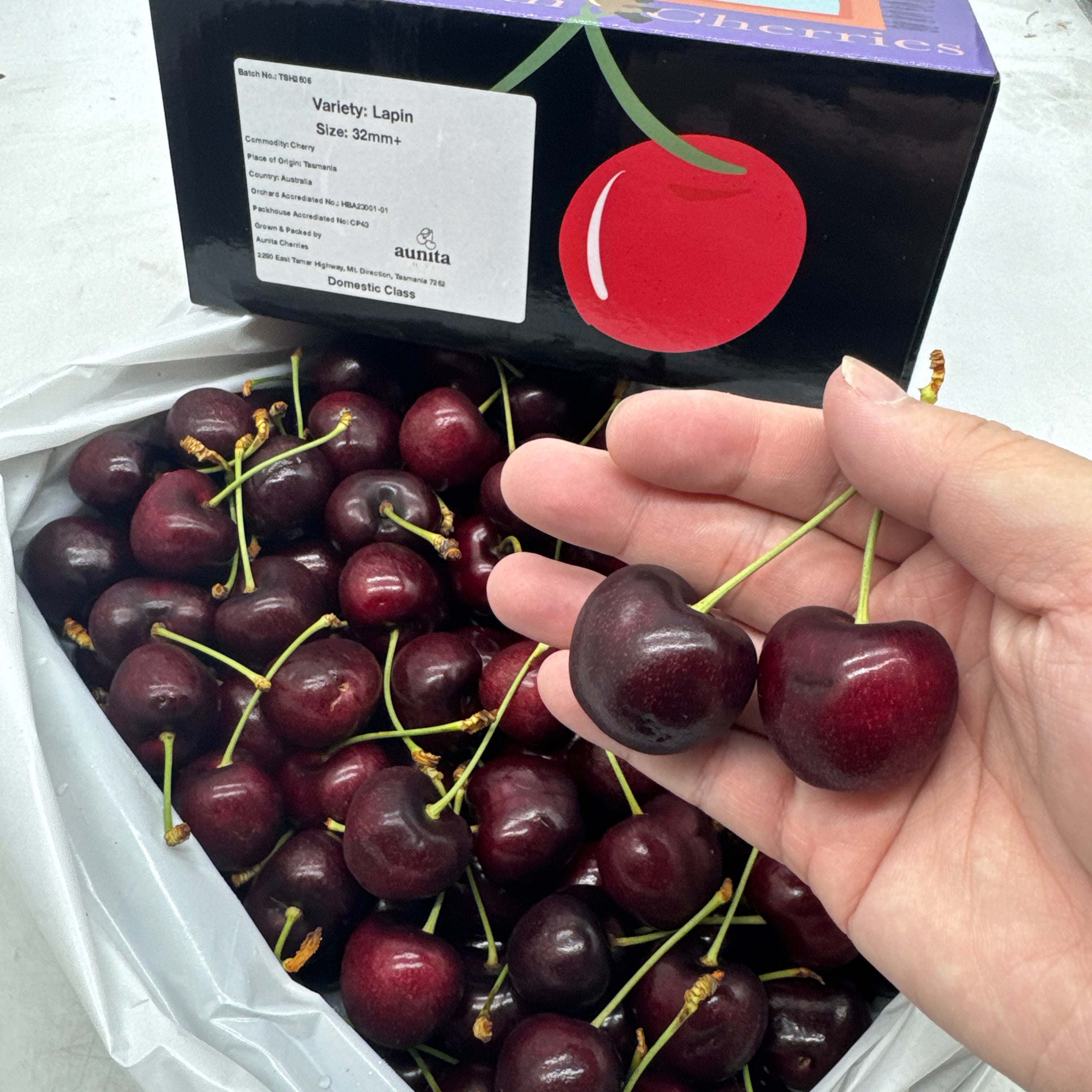 Tasmanian-Lapin-Cherries-Gift-Box---2kg-1