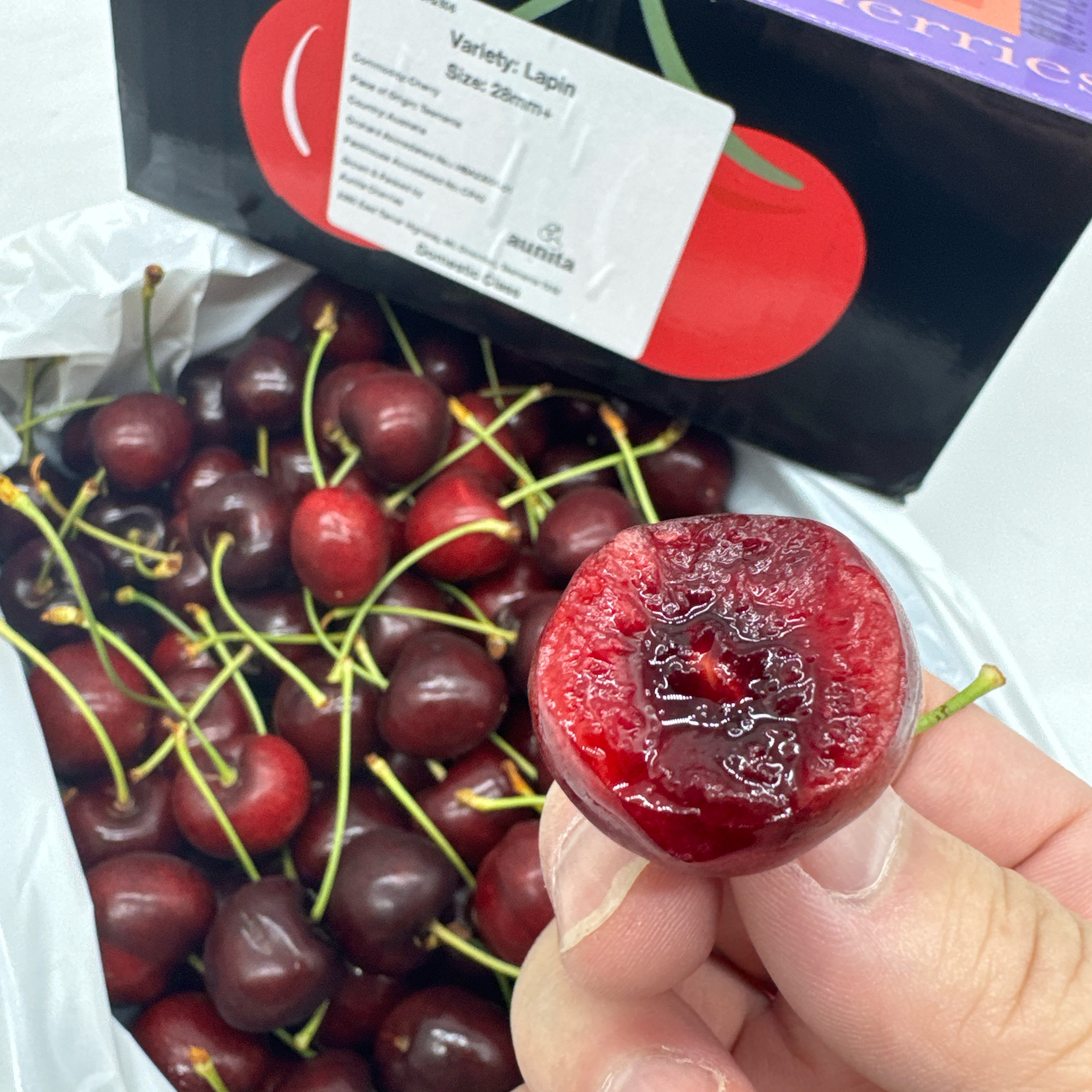 Tasmanian-Lapin-Cherries-28mm+-Gift-Box----2kg-1