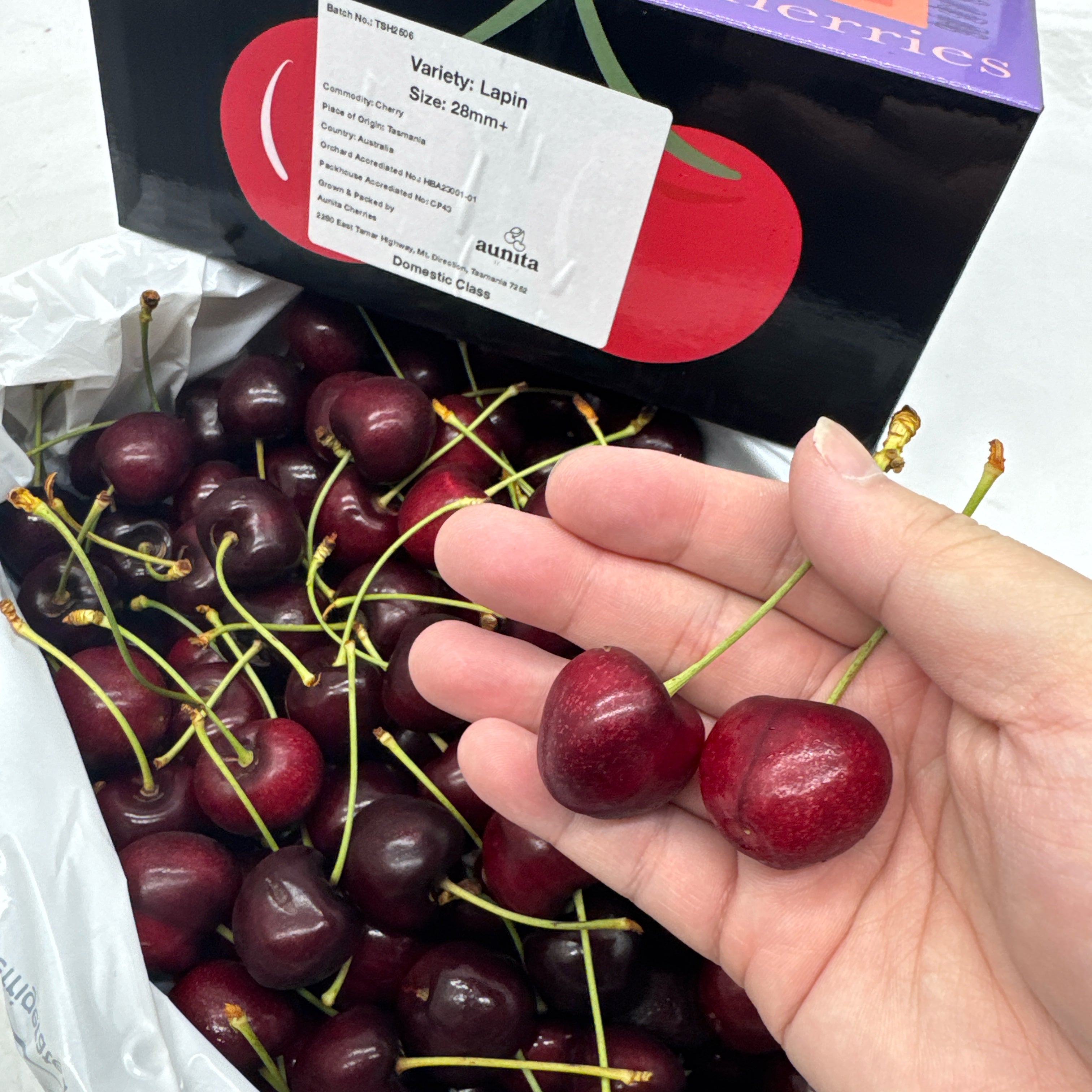 Tasmanian-Lapin-Cherries-28mm+-Gift-Box----2kg-1