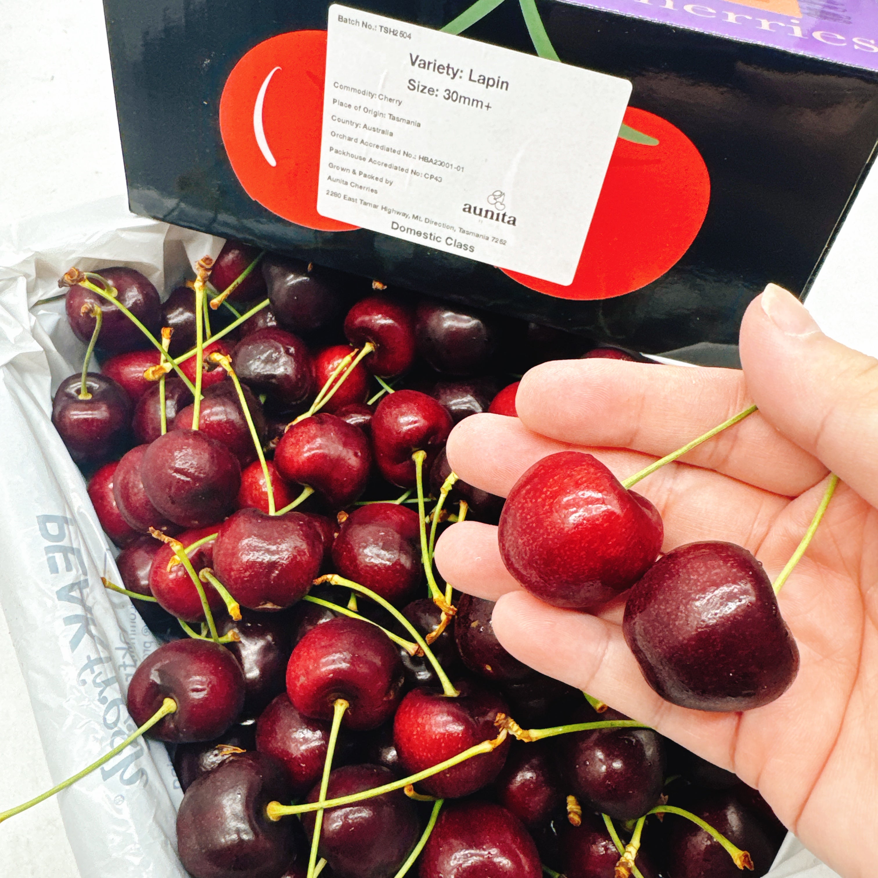 Tasmanian-Lapin-Cherries-Gift-Box---30-32mm,-2kg-1