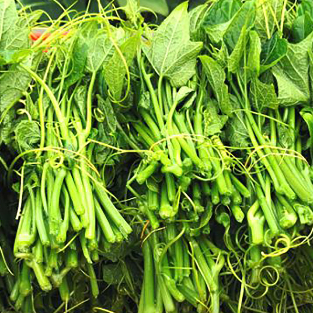 Dragon-Beard-Vegetable---1-Bunch-1