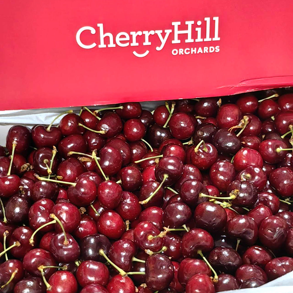 CherryHill-Sweet-Cheek-Pure-Sweet-Cherries---Medium,-500g-1