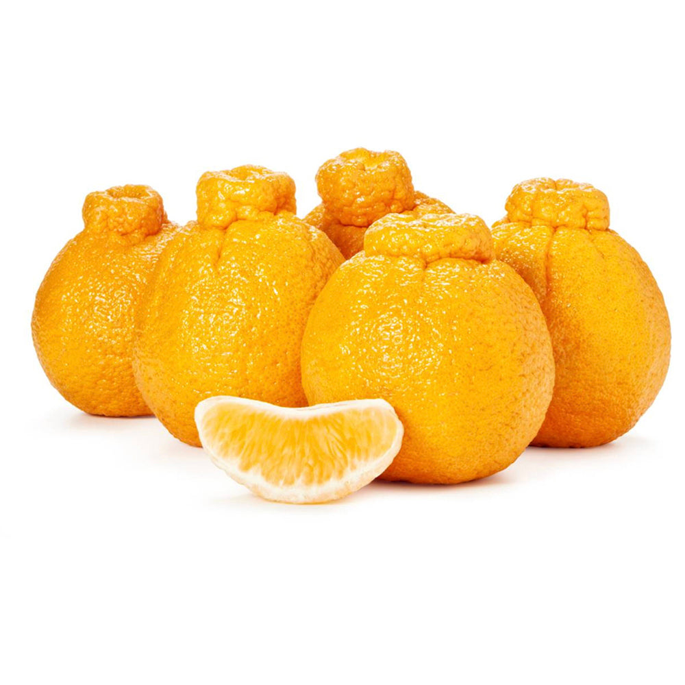 shiranui-oranges-1kg-1